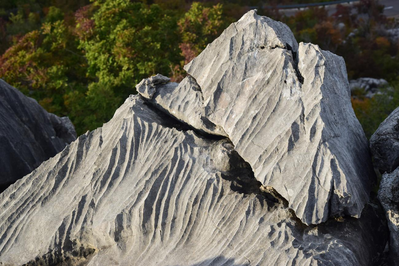 <p>What is this </p>