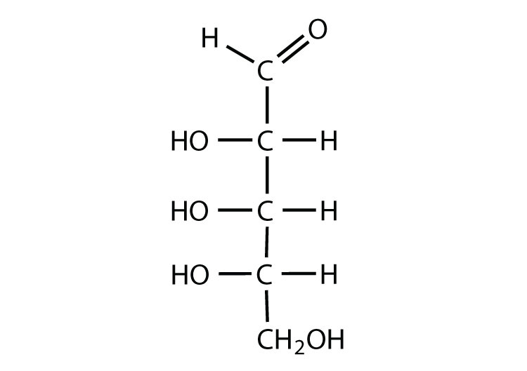 <p>They have a carbonyl group (C=O) and multiple hydroxyl groups (-OH). The location of the carbonyl group determines whether the sugar is a aldose or ketose.</p>