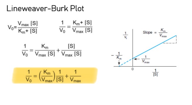 <p>To calculate Vmax and Km from concentrations less than those required for saturating conditions.</p><p></p><p></p><ul><li><p><span>\frac{1}{V_0} = y-axis</span></p></li><li><p><span>\frac{1}{[S]} = x-axis</span></p></li><li><p><span>Slope = \frac{K_m}{V_{max}}</span></p></li><li><p><span>Y-intercept = \frac{1}{V_{max}}</span></p></li><li><p><span>X-intercept = -\frac{1}{K_m}</span></p></li></ul><p></p>