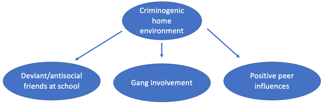 <p>promoting violence- </p><p>deviant/antisocial friends at school- home life can decide what friends you stay around- and if they are violent this violent behaviour is solidified. </p><p>gang involvement </p><p>positive peer influences- fsil to equipt children having a positive influence.</p>