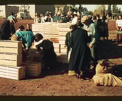 <p>hàng hóa = produc, item</p>