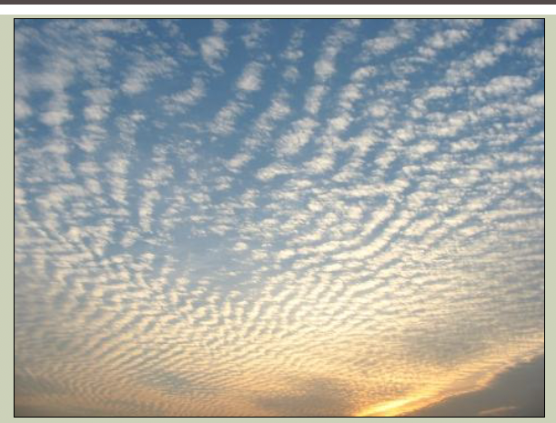 <p>Type of Cloud</p>