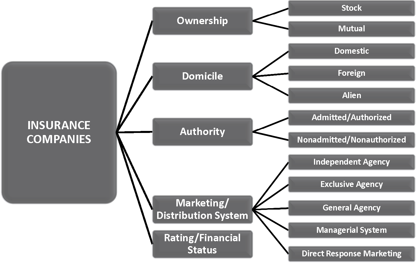 <p>Insurance Companies</p>
