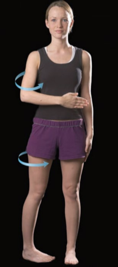 <p>rotation of the body part inwards</p>