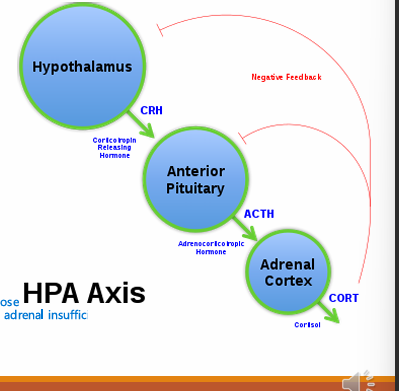 <ul><li><p>Supress it </p></li><li><p>HPA supressed by synthetic steroids</p></li><li><p>So the body will not produce own steroids when stressed e.g during dentistry or wound healing</p></li><li><p>At risk of acute adrenal insufficiency - serious lack of steroids causing hypotension, vomiting, collapse and death </p></li></ul><p></p>
