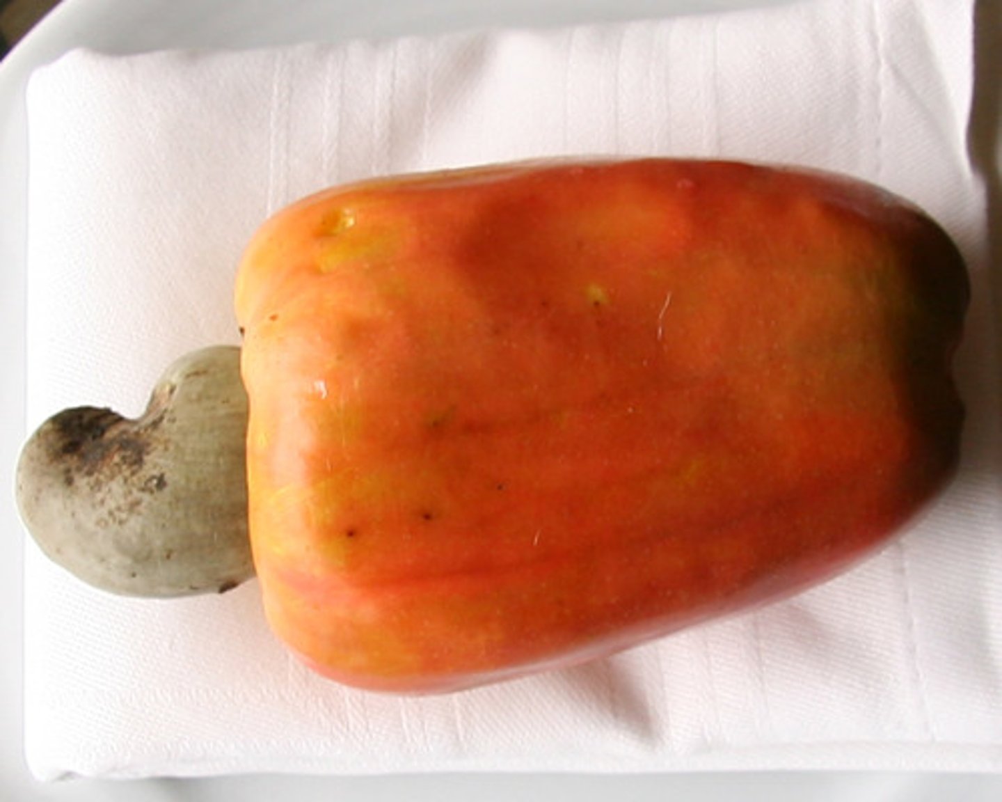 <p>AKAĴUO</p>