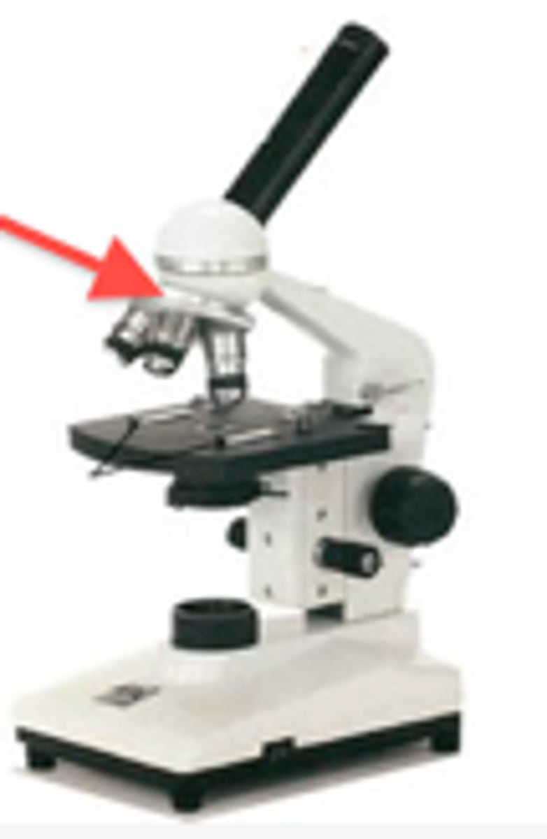 <p>Holds and turns the objectives into viewing position</p>