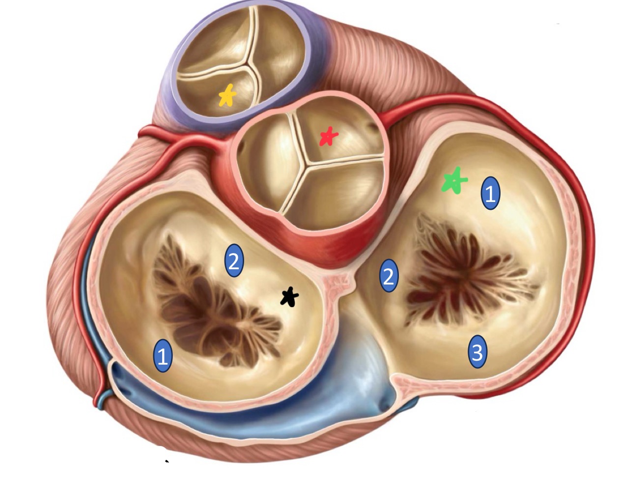 <p>What state is shown in the image above?</p>