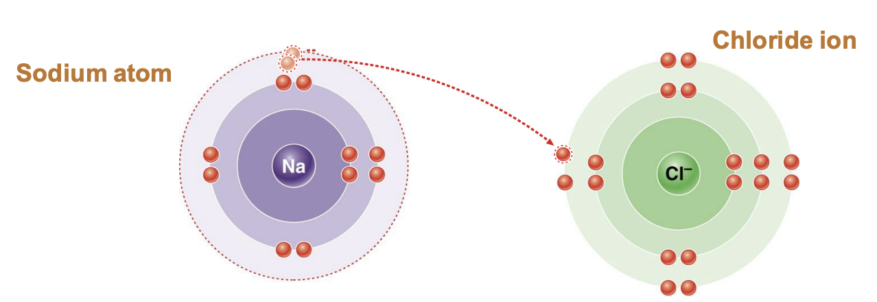 <p>electron transfer</p>