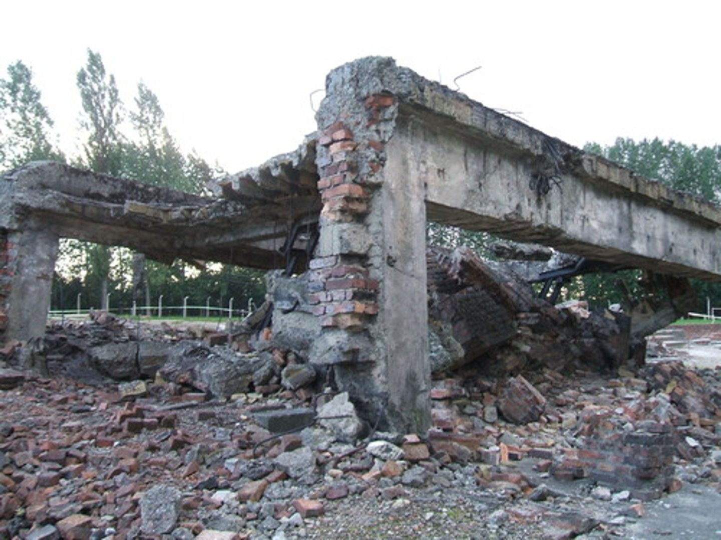 <p>(n) destruction, ruin</p>