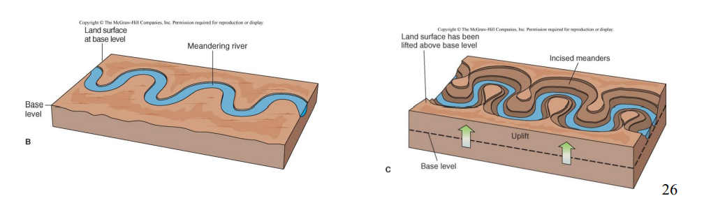 <p>retain sinuous pattern as they cut vertically downward</p>