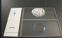 <p>Catalase test</p>