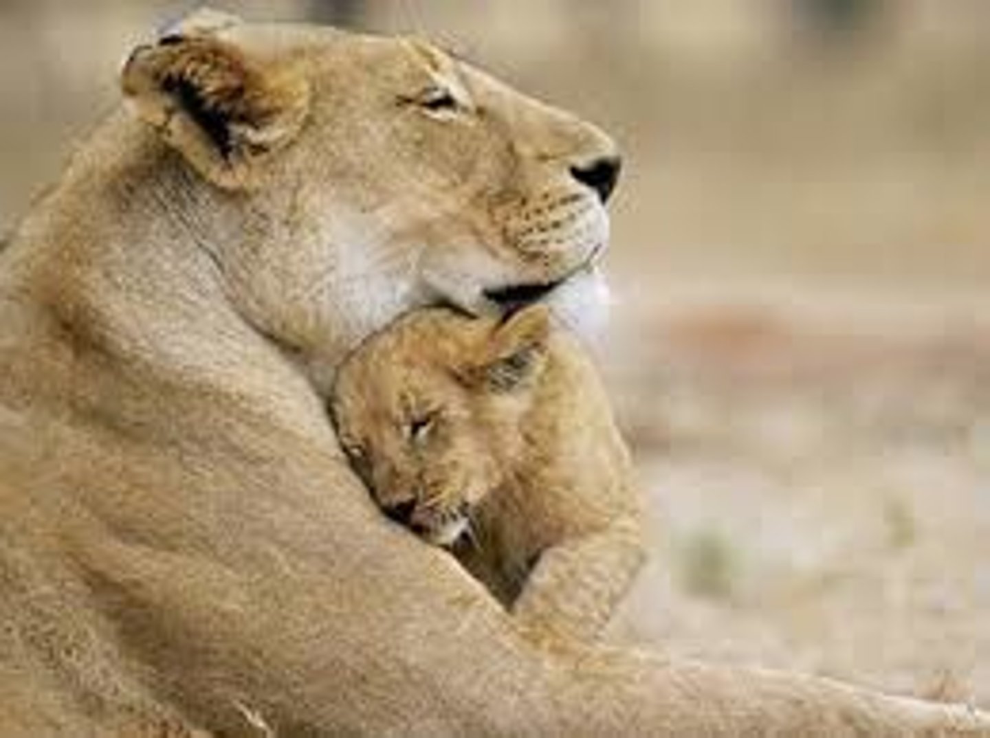 <p>Emotionally rewarding or uplifting</p>