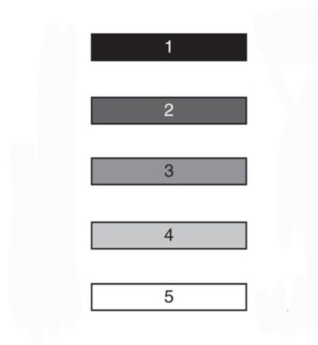 <p>What tissue is 4?</p>