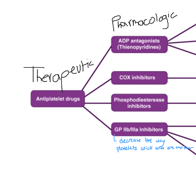 <p>1/2 types of naming Drug Classes</p><p>- the name describes the molecular/ receptor activity ('mechanism of action': how it works)</p><p>- more specific (mult of 'these' can be grouped into 1 therapeutic drug class)</p><p>- ex. calcium channel blocker (blocks Ca channels)</p>