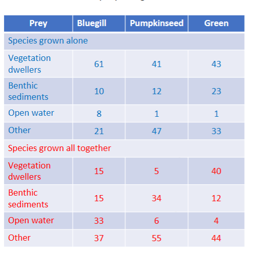 <p>They observed the fish both alone then together</p><p>They found out that all fished grew smaller when in competition compared to when they are alone</p><p></p><p>They also found out that the Green fish pushed out the blue and pumpkinseed fish from eating vegetation, so they ate at different areas of the water</p>