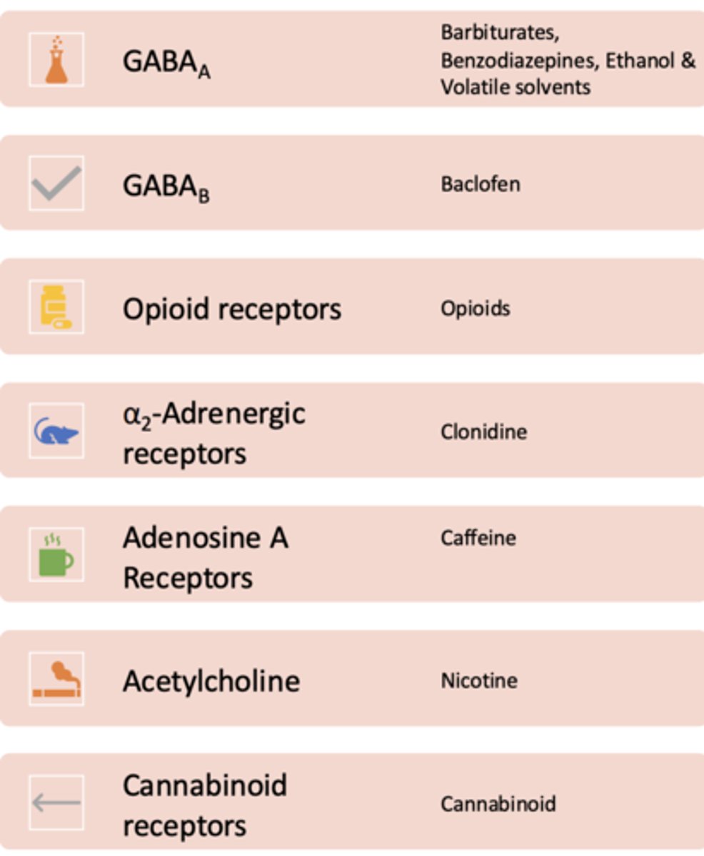 <p>- GABAa- Barbiturates, Benzodiazepines, Ethanol &amp; Volatile solvents</p><p>- GABAb- baclofen</p><p>- Opioid receptors- opioids</p><p>- α2 -Adrenergic receptors- clonidine</p><p>- Adenosine A Receptors- caffeine</p><p>- Acetylcholine- nicotine</p><p>- Cannabinoid receptors- cannabinoid</p>