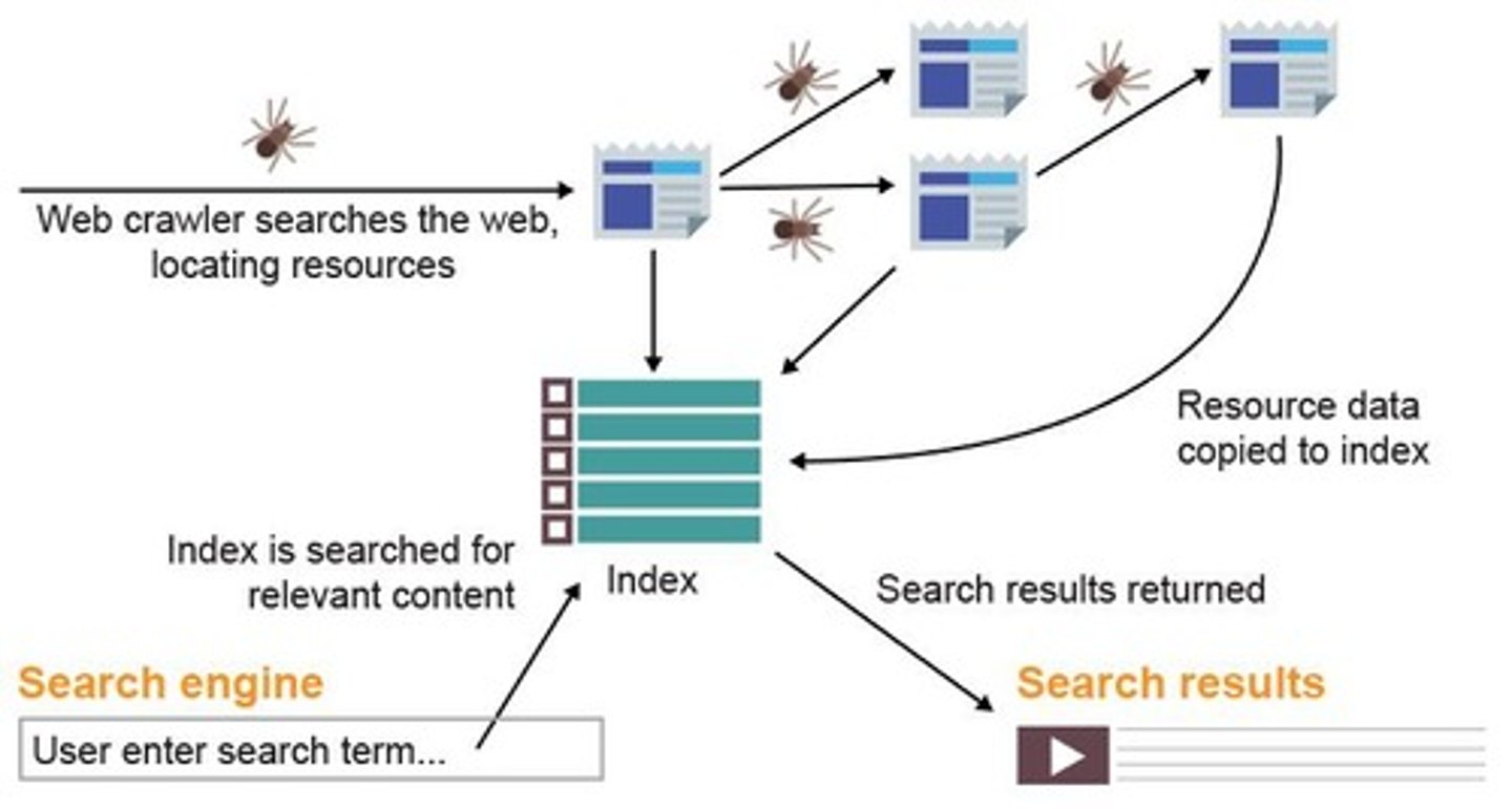 <p>Bot that discovers and records web pages.</p>