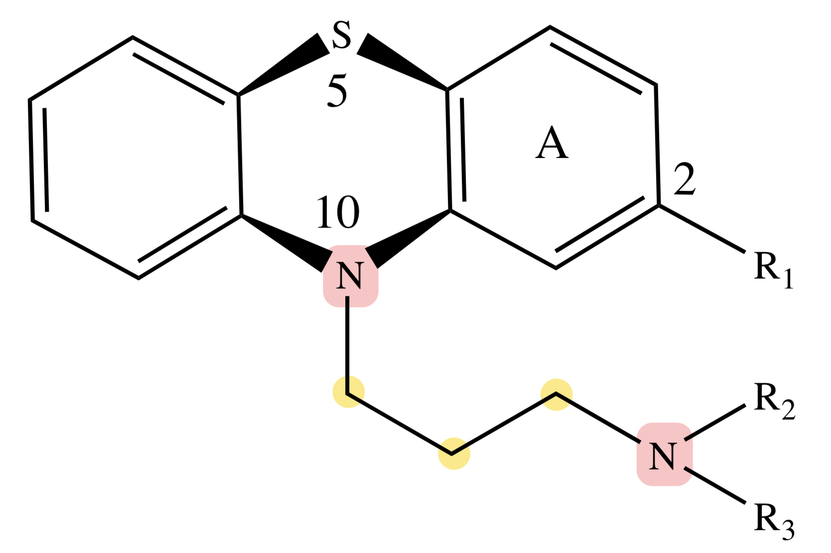 <p>PHENOTHIAZINES: N-atoms on the ring and side chain</p>