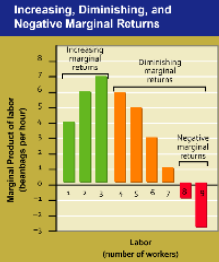 <p>Diminishing marginal returns</p>