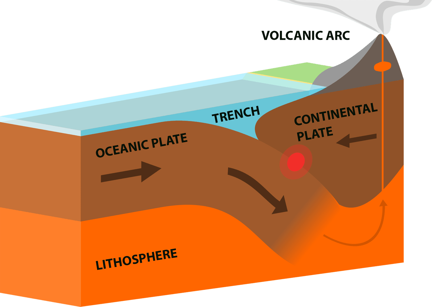 <p>where the crust is destroyed as one plate dives under another</p>