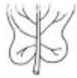 <p>base</p>