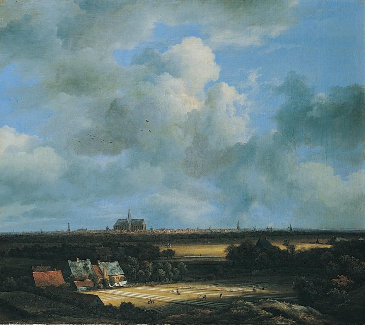 <p>Identify this item</p>