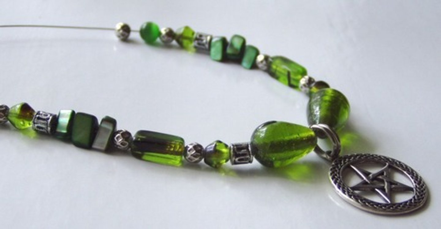 <p>el collar (los collares)</p>