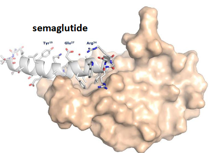 <p>Ozempic (semaglutide)</p>