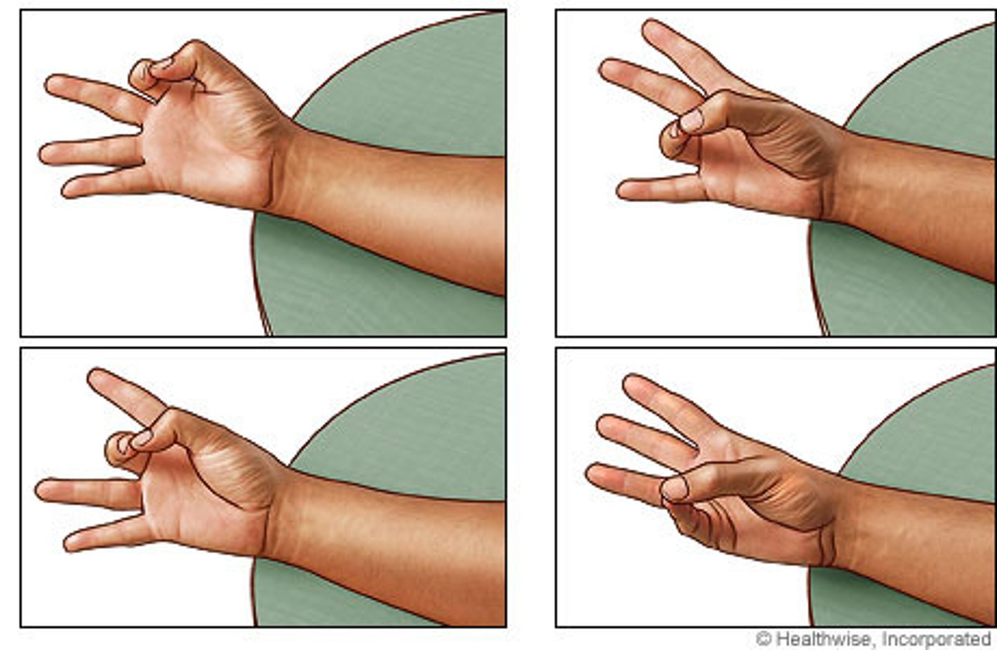 <p>Moving the tip of your thumb so that it makes contact with the tip of another finger. This movement is possible due to the first carpometacarpal joint: the saddle joint between the trapezium carpal bone and the first metacarpal bone.</p>