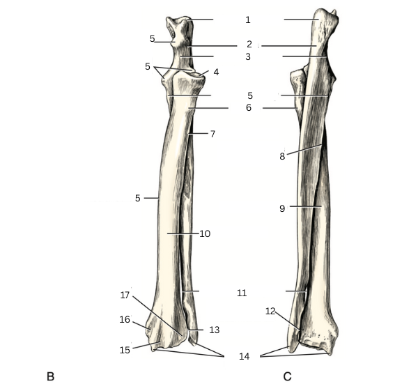 <p>19 </p>