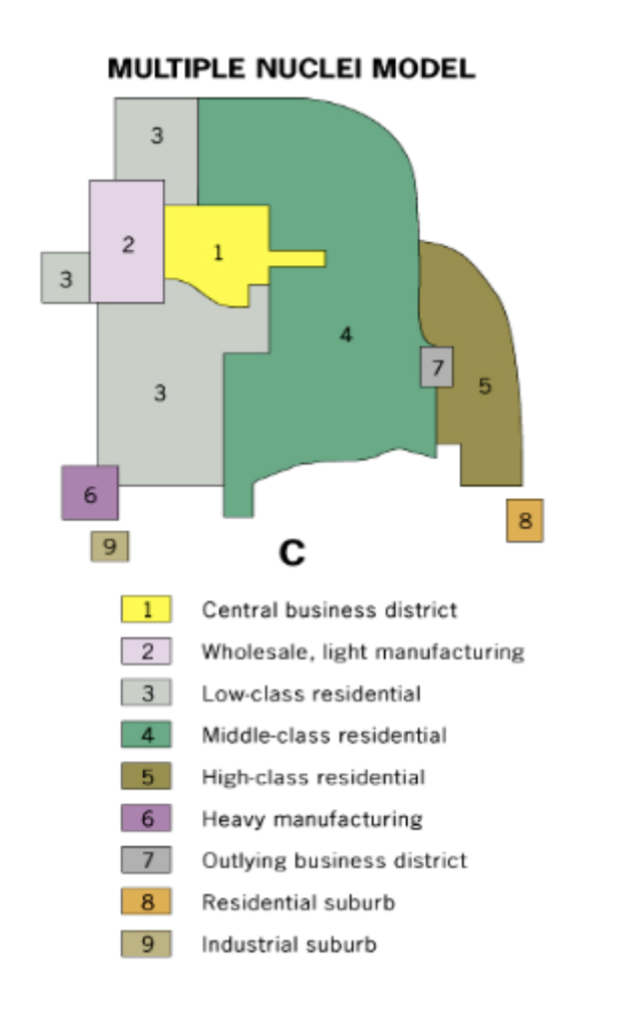 <p>chauncey harris and E.L. ullman (1945)</p><p><span style="color: #000000">a spatial model that shows the mid 20th century american city consisting of several land-use zones (nodes) arranged around a CBD</span></p>