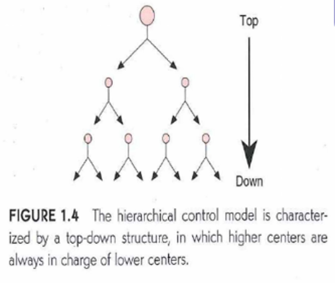<p>top-down structure</p>