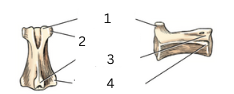 <p>1</p>