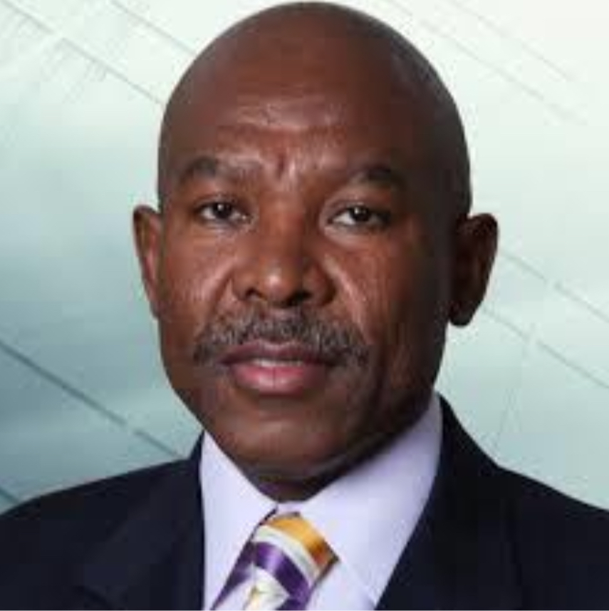 <p>Lesetja Kganyago</p>