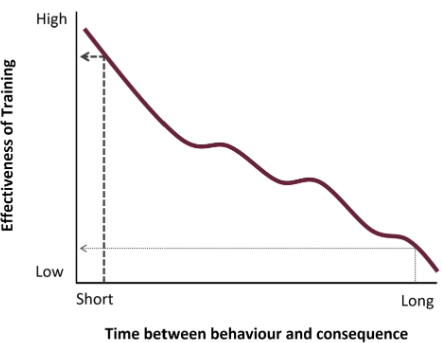 <p>Correct timing of reinforcer is critical; more effective if minimized delay</p>