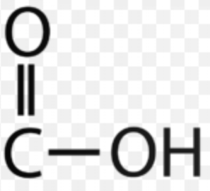 <ul><li><p>AKA Carboxylic acid</p></li><li><p>Chemical formula: COOH</p></li><li><p>Found in amino <strong>acids</strong></p></li></ul><p></p>