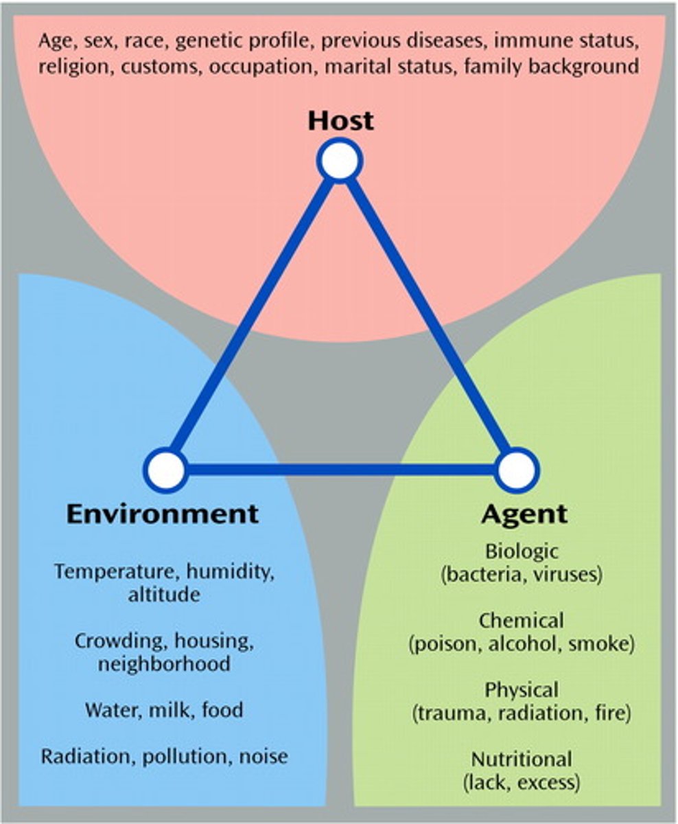 <p>the study of the occurrence, distribution, and determinants of health and disease in a population</p>