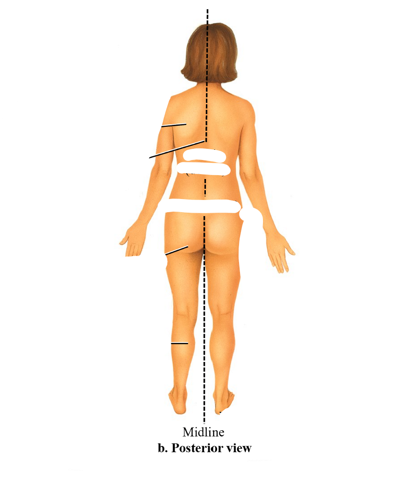 <p>back view</p>