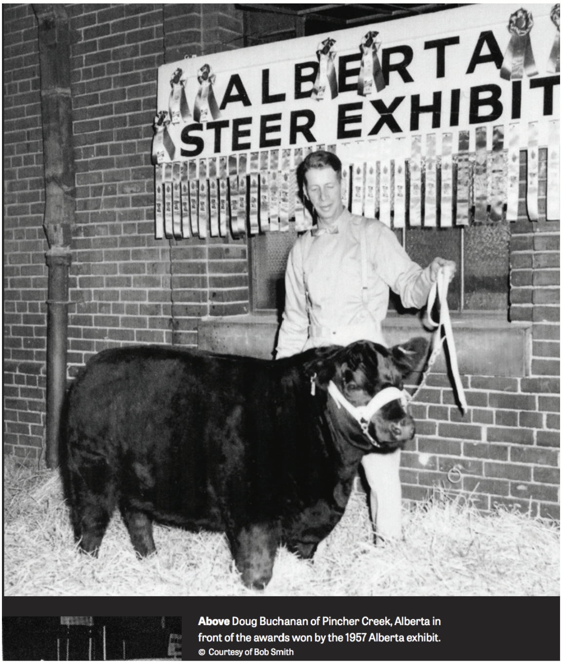 <p>Time when beef industry was dominated by British breeds (Angus, Hereford).</p><ul><li><p>1953: Angus imported onto Guelph campus.</p></li><li><p>1860s: Hereford imported to Guelph.</p></li></ul><p>Small frame score: pretty short and round cattle.<br>Slower growing.</p><ul><li><p>1950/60s: Enter the “exotics”! Fast-growing Continental breeds imported into Canada (e.g. Simmental, Charolais, many were crossbred with Angus and Hereford).</p></li></ul><p></p>