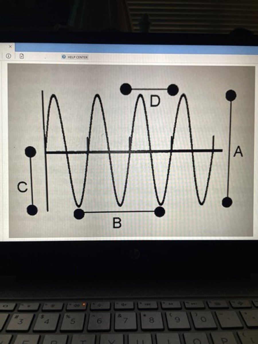 <p>Which of the following best describes line B?</p>