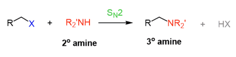 <p>NHR<sub>2</sub></p>