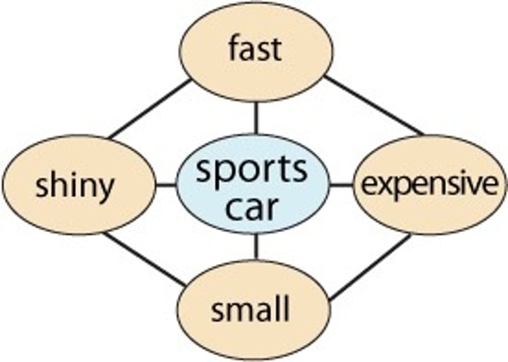 <p>a conceptual framework a person uses to make sense of the world</p>