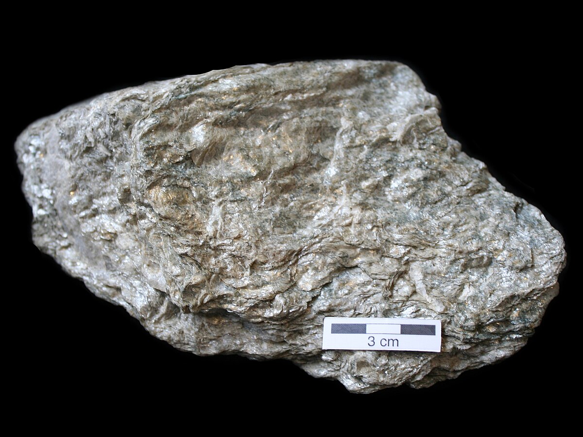 <p>Identify the metamorphic rock</p>
