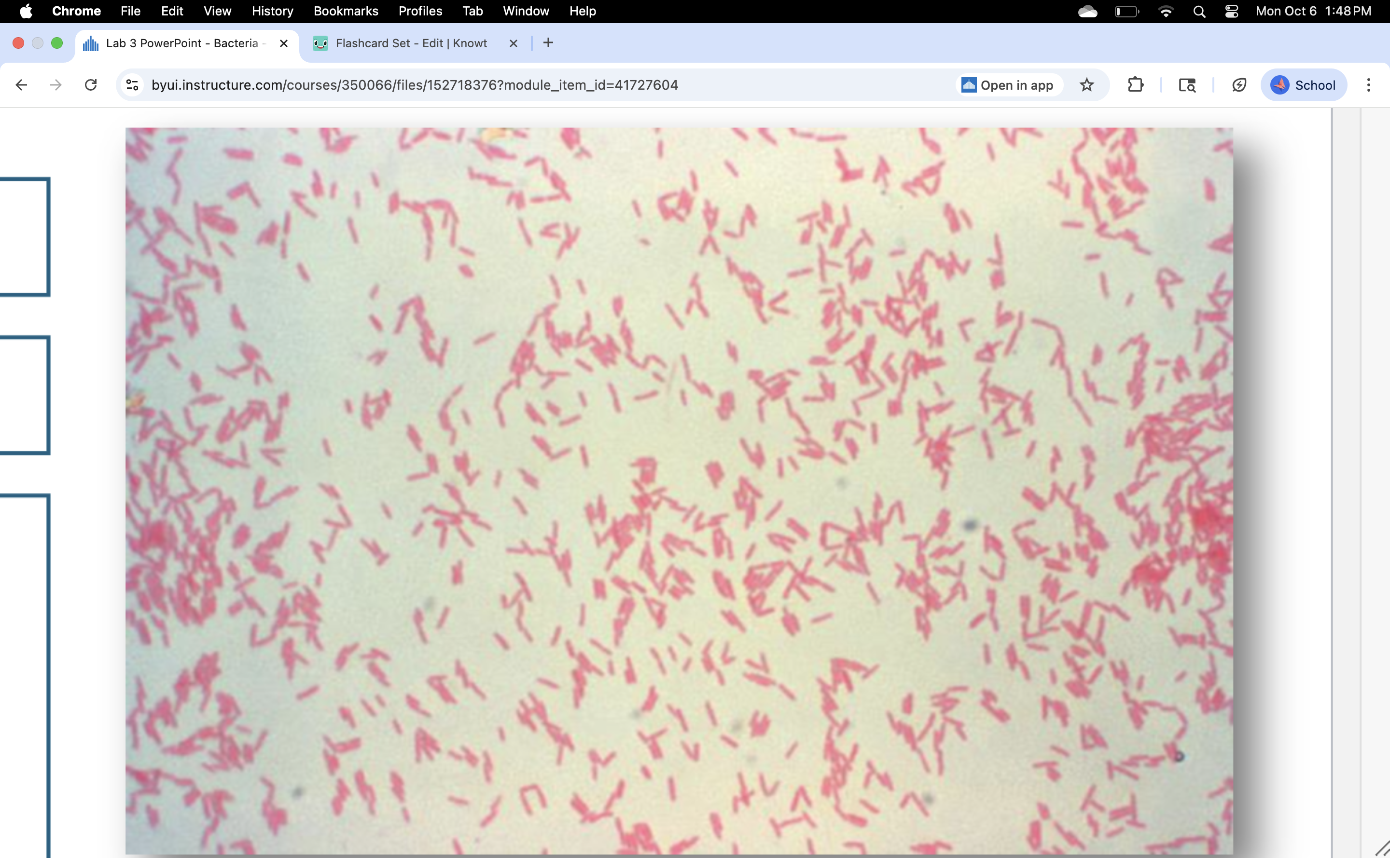 knowt flashcard image