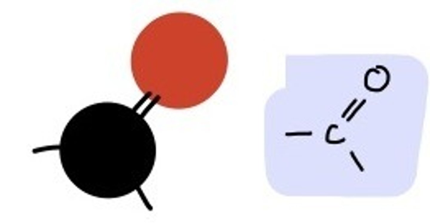<p>Carbonyl</p>