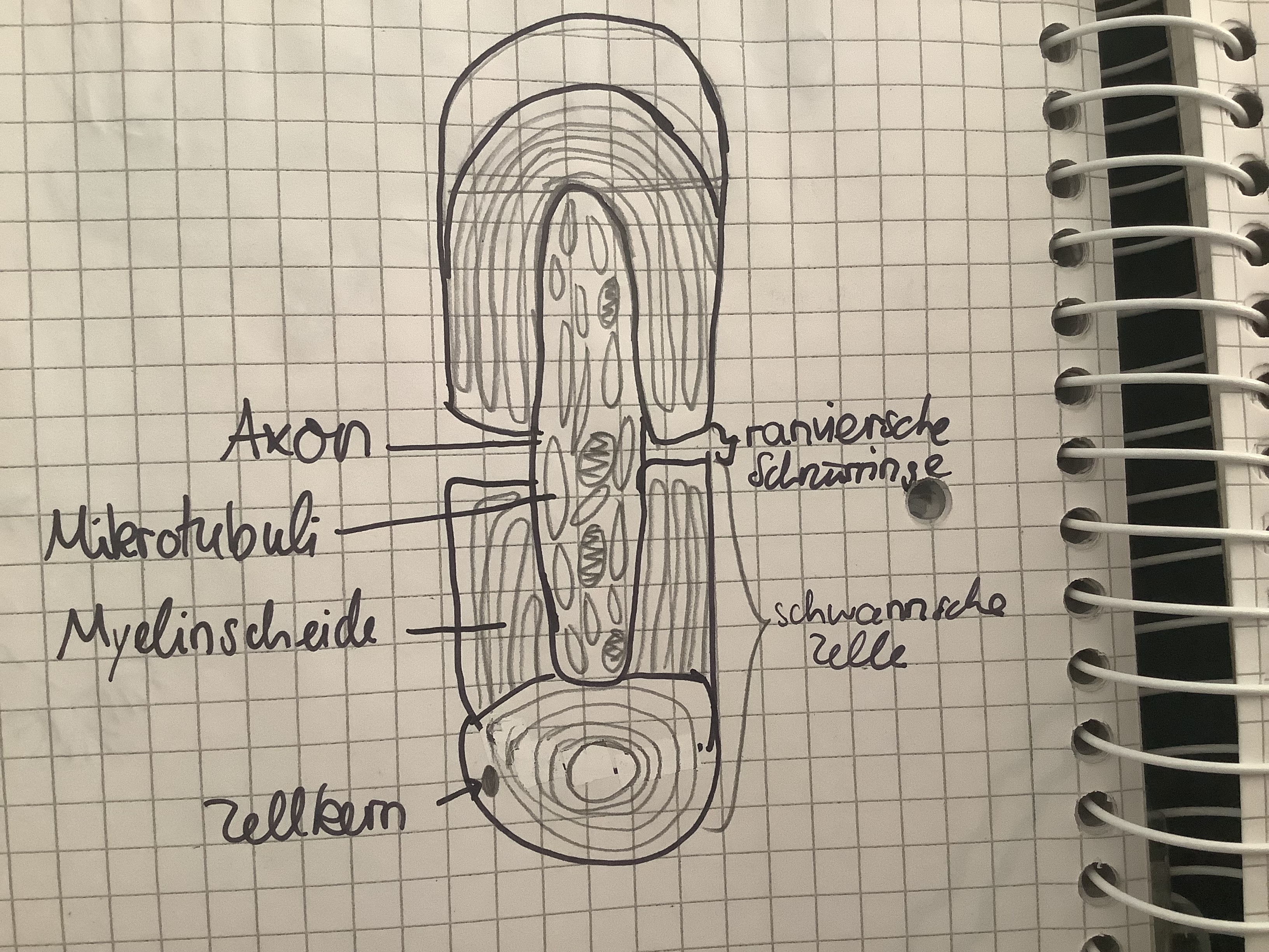 knowt flashcard image