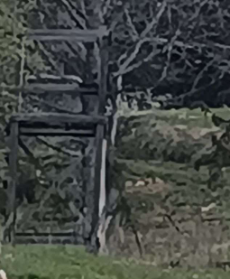 <p>jagdl. einrichtung</p>