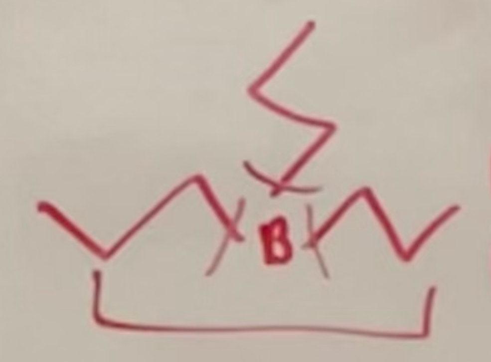 <p>adds an h and oh; ANTI MARK</p><p>1) B attaches to LESS substituted side; a hydrogen breaks off the b as well and goes to the other side of bond</p><p>= end up with bh2</p><ul><li><p>transition state: draw potentials (dotted lines) for the double bond and connection of h and bh2</p></li></ul><p>2) after having bh2, create b attached to 3 separate propyl groups (photo attached)</p><p>replace them all with oh’s using h2o2, naoh reactants</p><p></p>
