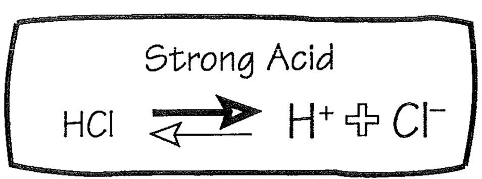 <ol><li><p>Buffer</p></li><li><p>HCl</p><ol><li><p>Strong acid</p></li><li><p>Almost completely dissociates</p><ol><li><p>Producing H+</p></li></ol></li></ol></li></ol>